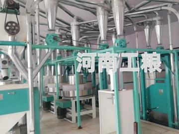 日處理50噸小麥?zhǔn)ッ娣奂庸ぴO(shè)備